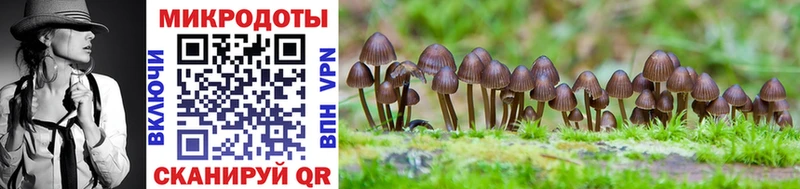 наркотики  Спасск  Псилоцибиновые грибы Cubensis 